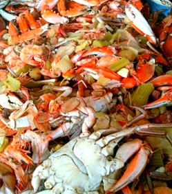 gulf shellfish.jpg